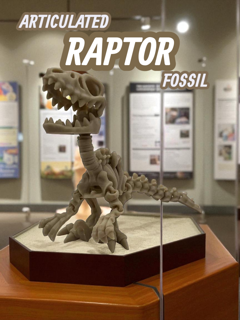 Articulated Raptor Fossil - Dad Man Trading