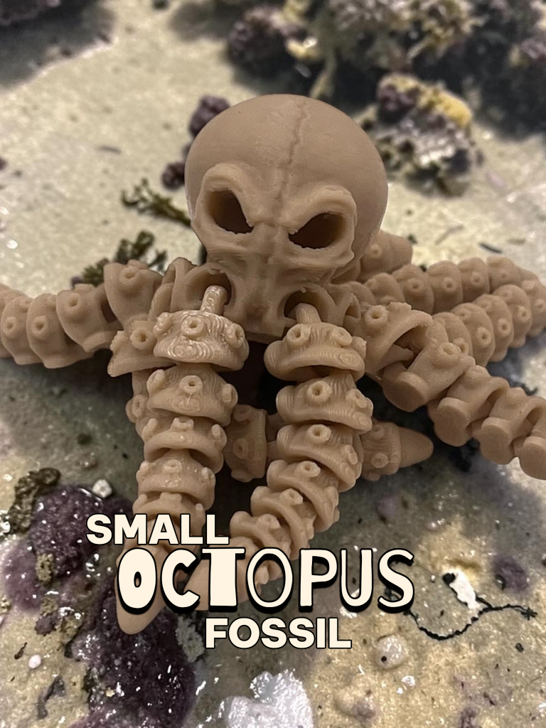 Small Articulated Octopus Fossil - Dad Man Trading
